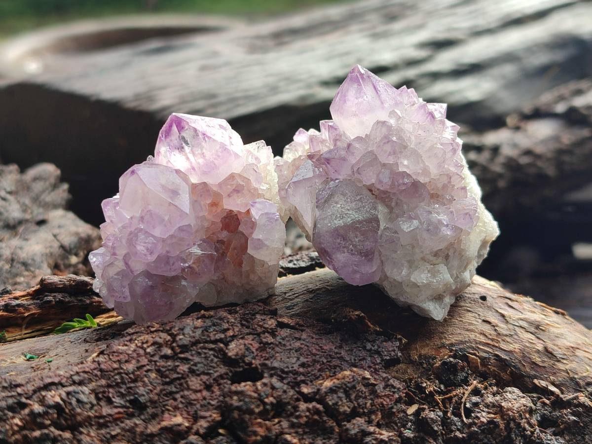 Natural Amethyst Spirit Quartz Clusters x 12 From Boekenhouthoek, South Africa - Toprock Gemstones and Minerals 
