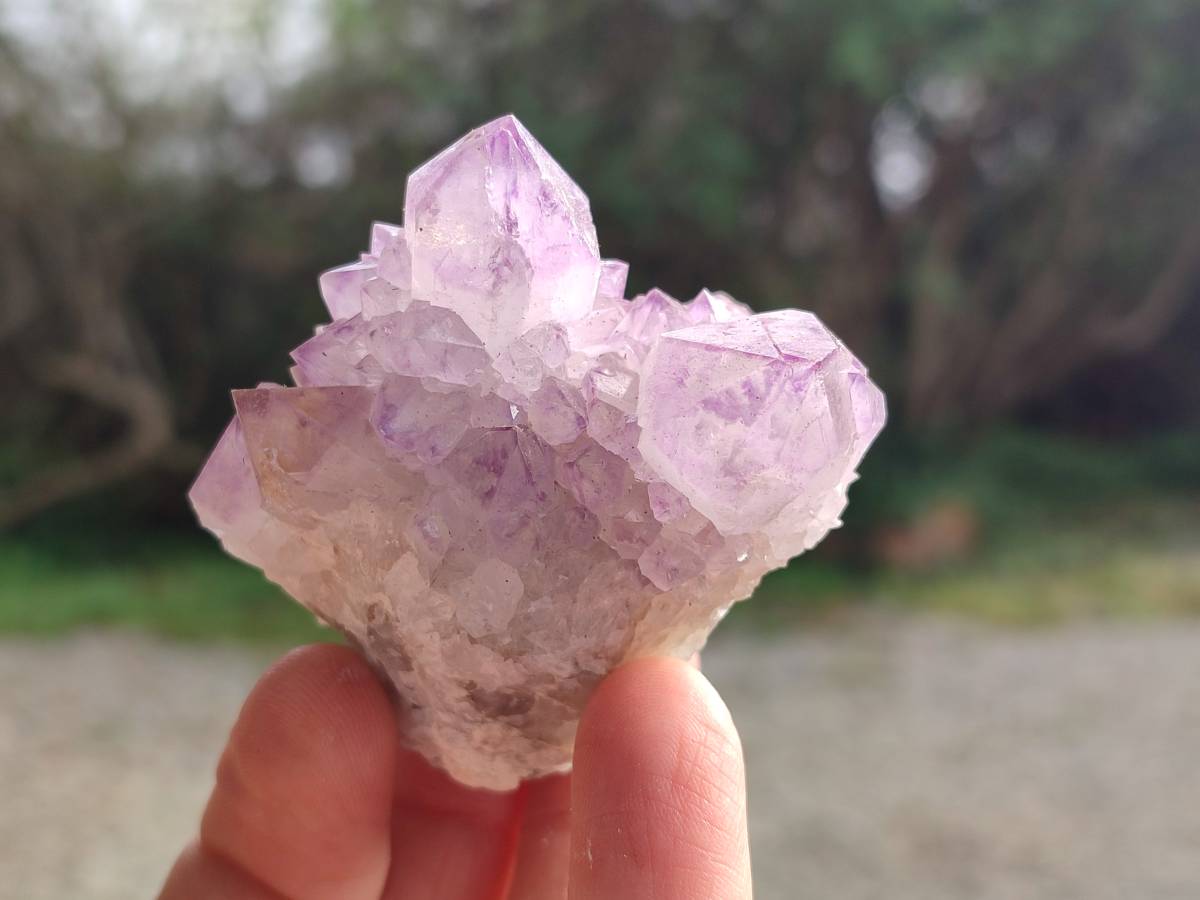Natural Amethyst Spirit Quartz Clusters x 12 From Boekenhouthoek, South Africa - Toprock Gemstones and Minerals 