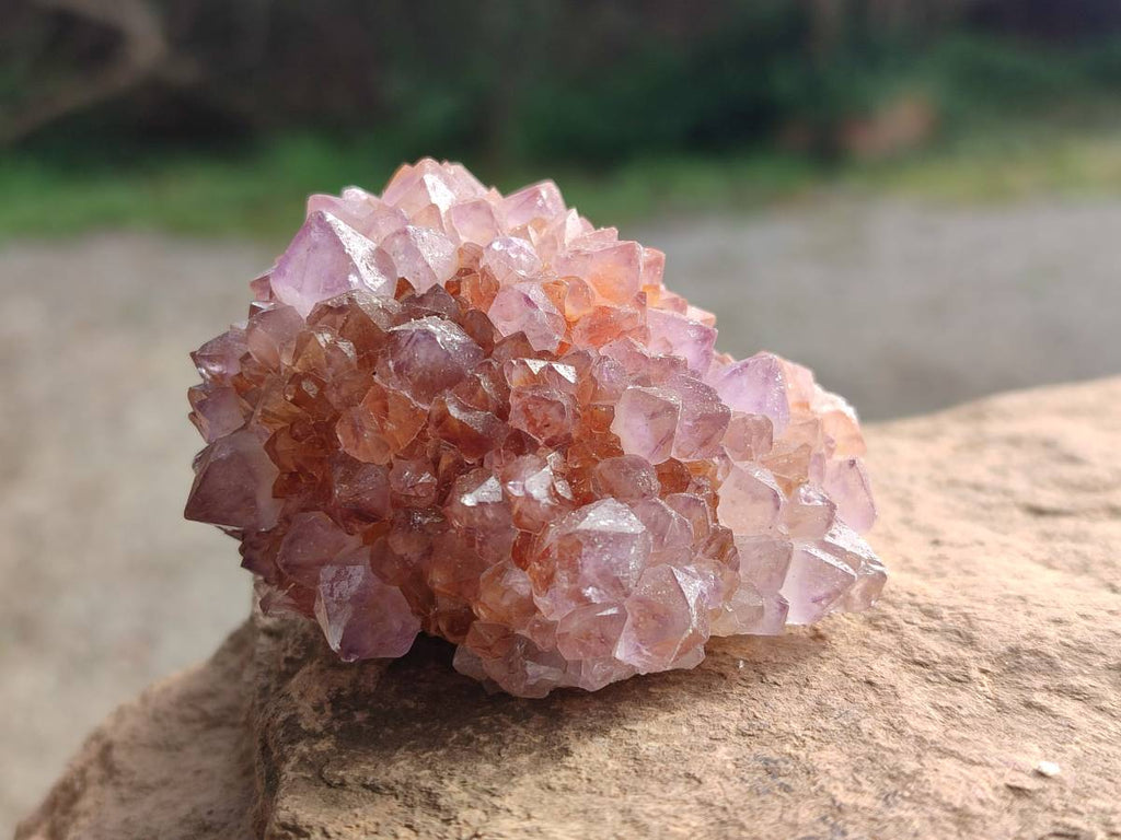 Natural Amethyst Spirit Quartz Clusters x 12 From Boekenhouthoek, South Africa - Toprock Gemstones and Minerals 