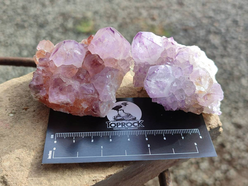 Natural Amethyst Spirit Quartz Clusters x 12 From Boekenhouthoek, South Africa - Toprock Gemstones and Minerals 