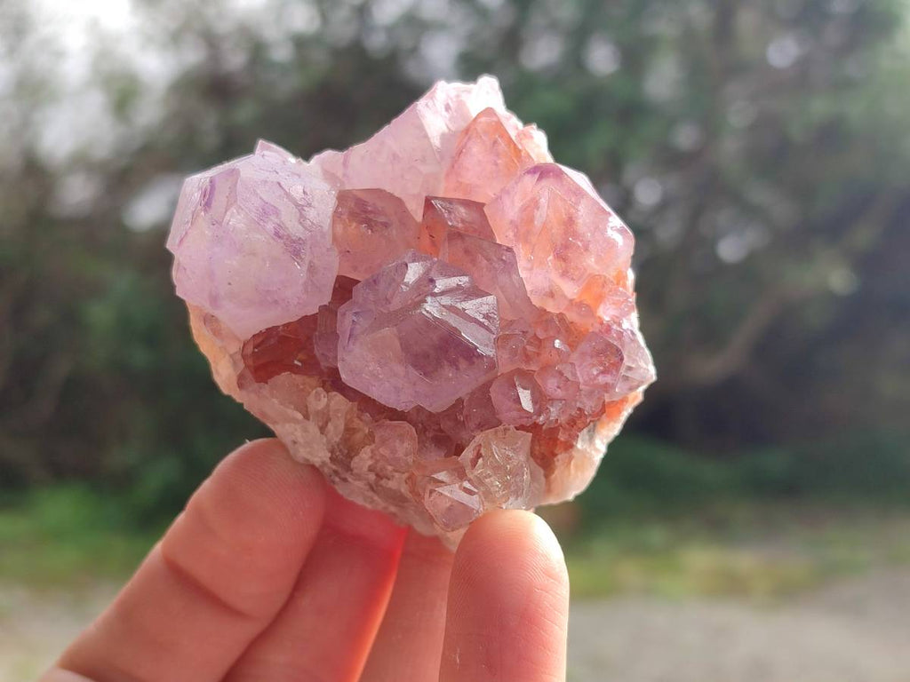 Natural Amethyst Spirit Quartz Clusters x 12 From Boekenhouthoek, South Africa - Toprock Gemstones and Minerals 
