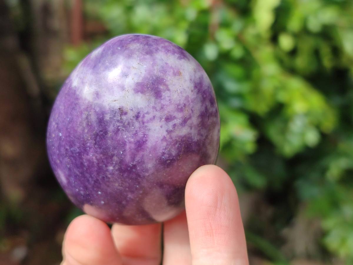 Polished Lepidolite With Pink Rubellite Palm Stones x 12 From Ambatondrazaka, Madagascar - Toprock Gemstones and Minerals 
