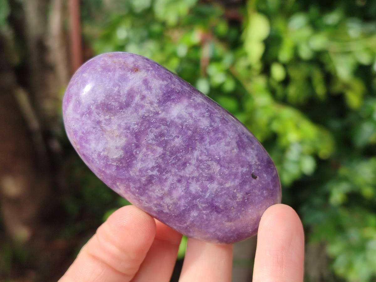 Polished Lepidolite With Pink Rubellite Palm Stones x 12 From Ambatondrazaka, Madagascar - Toprock Gemstones and Minerals 