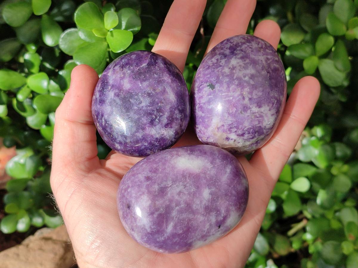 Polished Lepidolite With Pink Rubellite Palm Stones x 12 From Ambatondrazaka, Madagascar - Toprock Gemstones and Minerals 