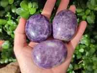 Polished Lepidolite With Pink Rubellite Palm Stones x 12 From Ambatondrazaka, Madagascar