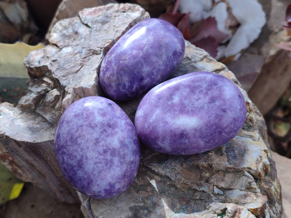 Polished Lepidolite With Pink Rubellite Palm Stones x 12 From Ambatondrazaka, Madagascar - Toprock Gemstones and Minerals 