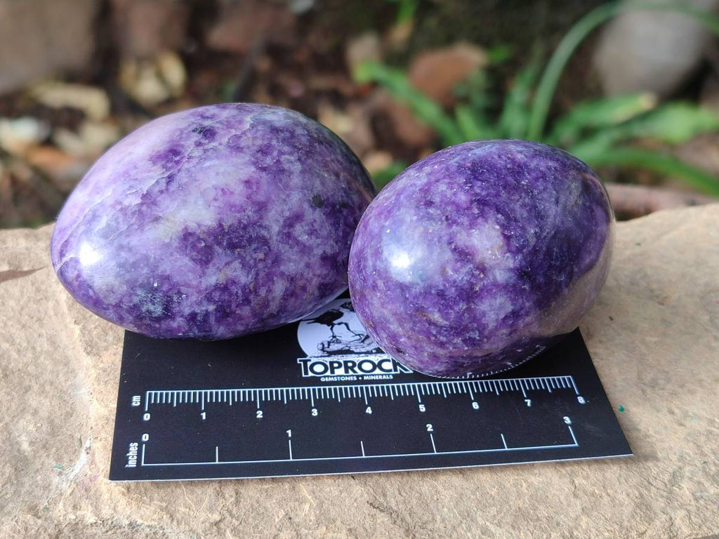 Polished Lepidolite With Pink Rubellite Palm Stones x 12 From Ambatondrazaka, Madagascar - Toprock Gemstones and Minerals 