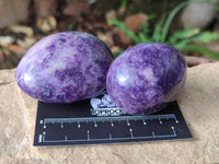 Polished Lepidolite With Pink Rubellite Palm Stones x 12 From Ambatondrazaka, Madagascar