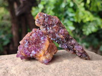 Natural Amethystos Amethyst Clusters x 24 From Kwaggafontein, South Africa