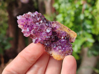 Natural Amethystos Amethyst Clusters x 24 From Kwaggafontein, South Africa
