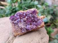 Natural Amethystos Amethyst Clusters x 24 From Kwaggafontein, South Africa