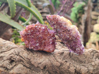 Natural Amethystos Amethyst Clusters x 24 From Kwaggafontein, South Africa