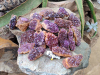 Natural Amethystos Amethyst Clusters x 24 From Kwaggafontein, South Africa