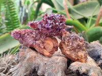 Natural Amethystos Amethyst Clusters x 24 From Kwaggafontein, South Africa