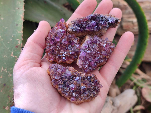 Natural Amethystos Amethyst Clusters x 24 From Kwaggafontein, South Africa