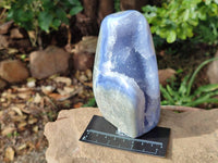 Polished Blue Lace Agate Standing Free Forms x 2 From Nsanje, Malawi