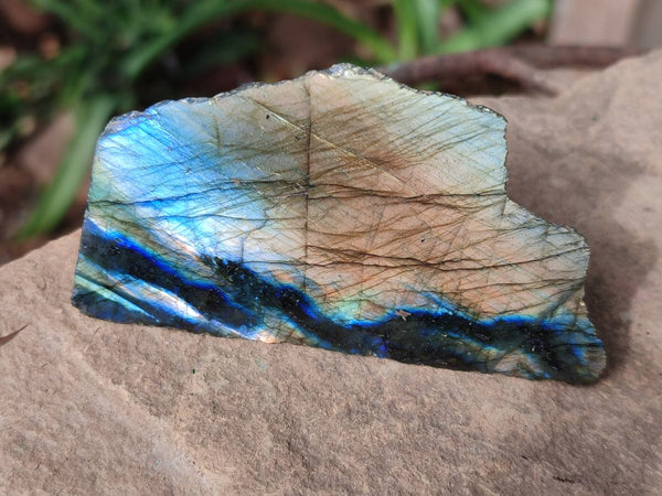 Polished On One Side Labradorite x 12 From Tulear, Madagascar