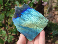 Polished On One Side Labradorite x 12 From Tulear, Madagascar