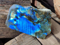 Polished On One Side Labradorite x 12 From Tulear, Madagascar