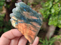 Polished On One Side Labradorite x 12 From Tulear, Madagascar