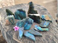 Polished On One Side Labradorite x 12 From Tulear, Madagascar