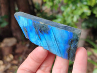 Polished On One Side Labradorite x 12 From Tulear, Madagascar