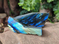 Polished On One Side Labradorite x 12 From Tulear, Madagascar