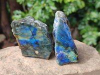Polished On One Side Labradorite x 12 From Tulear, Madagascar