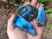 Polished On One Side Labradorite x 12 From Tulear, Madagascar