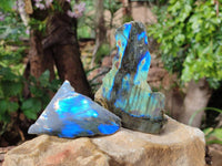 Polished On One Side Labradorite x 12 From Tulear, Madagascar
