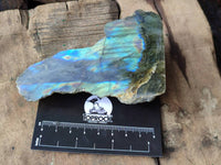 Polished On One Side Labradorite x 12 From Tulear, Madagascar