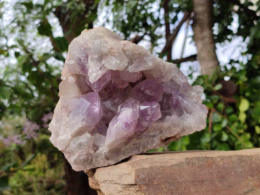 Natural Jacaranda Amethyst Quartz Cluster x 1 From Mumbwa, Zambia - Toprock Gemstones and Minerals 