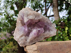 Natural Jacaranda Amethyst Quartz Cluster x 1 From Mumbwa, Zambia - Toprock Gemstones and Minerals 