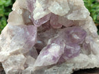 Natural Jacaranda Amethyst Quartz Cluster x 1 From Mumbwa, Zambia - Toprock Gemstones and Minerals 