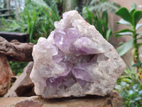 Natural Jacaranda Amethyst Quartz Cluster x 1 From Mumbwa, Zambia
