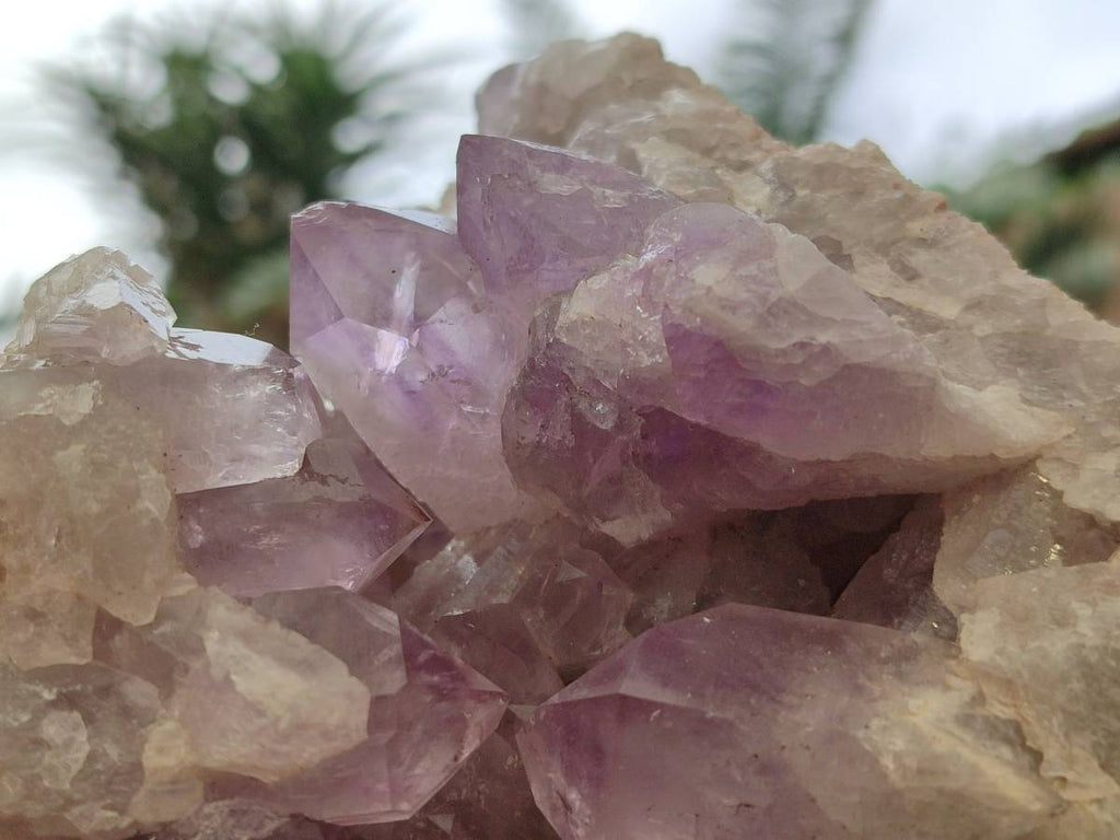 Natural Jacaranda Amethyst Quartz Cluster x 1 From Mumbwa, Zambia - Toprock Gemstones and Minerals 