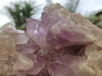 Natural Jacaranda Amethyst Quartz Cluster x 1 From Mumbwa, Zambia