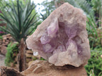 Natural Jacaranda Amethyst Quartz Cluster x 1 From Mumbwa, Zambia - Toprock Gemstones and Minerals 