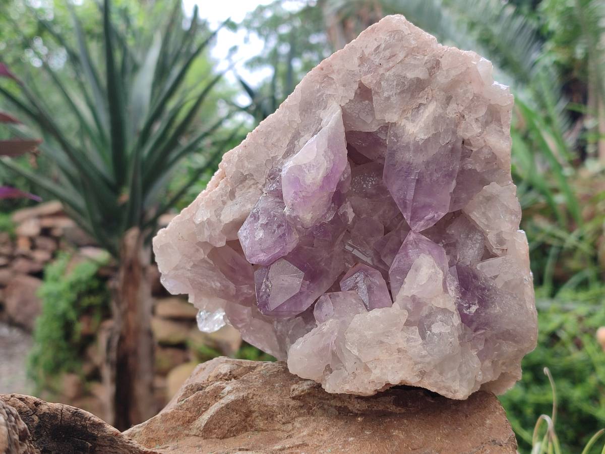 Natural Jacaranda Amethyst Quartz Cluster x 1 From Mumbwa, Zambia - Toprock Gemstones and Minerals 