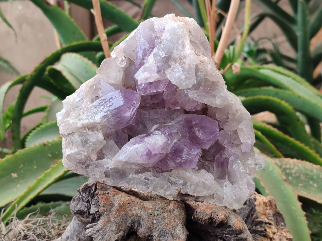 Natural Jacaranda Amethyst Quartz Cluster x 1 From Mumbwa, Zambia - Toprock Gemstones and Minerals 