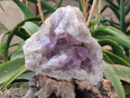 Natural Jacaranda Amethyst Quartz Cluster x 1 From Mumbwa, Zambia - Toprock Gemstones and Minerals 