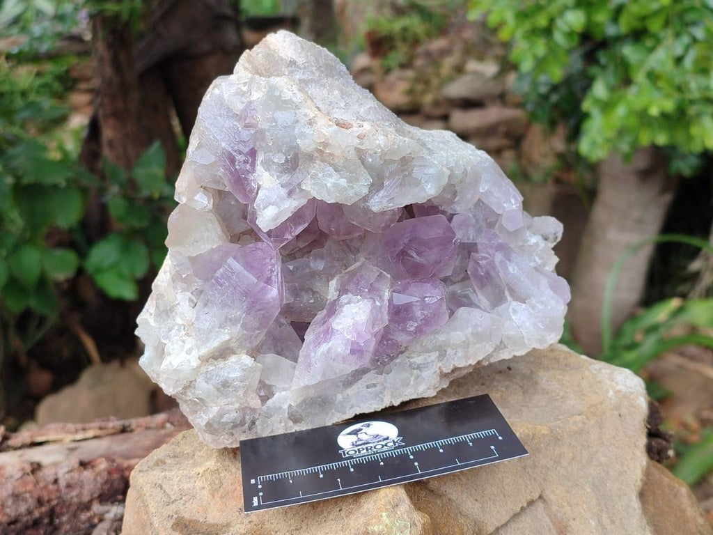 Natural Jacaranda Amethyst Quartz Cluster x 1 From Mumbwa, Zambia - Toprock Gemstones and Minerals 