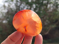 Polished Carnelian Agate Gemstone Palm Stones x 12 From Madagascar