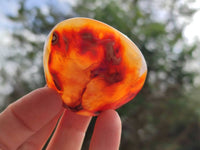Polished Carnelian Agate Gemstone Palm Stones x 12 From Madagascar