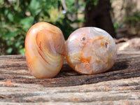 Polished Carnelian Agate Gemstone Palm Stones x 12 From Madagascar