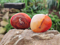 Polished Carnelian Agate Gemstone Palm Stones x 12 From Madagascar