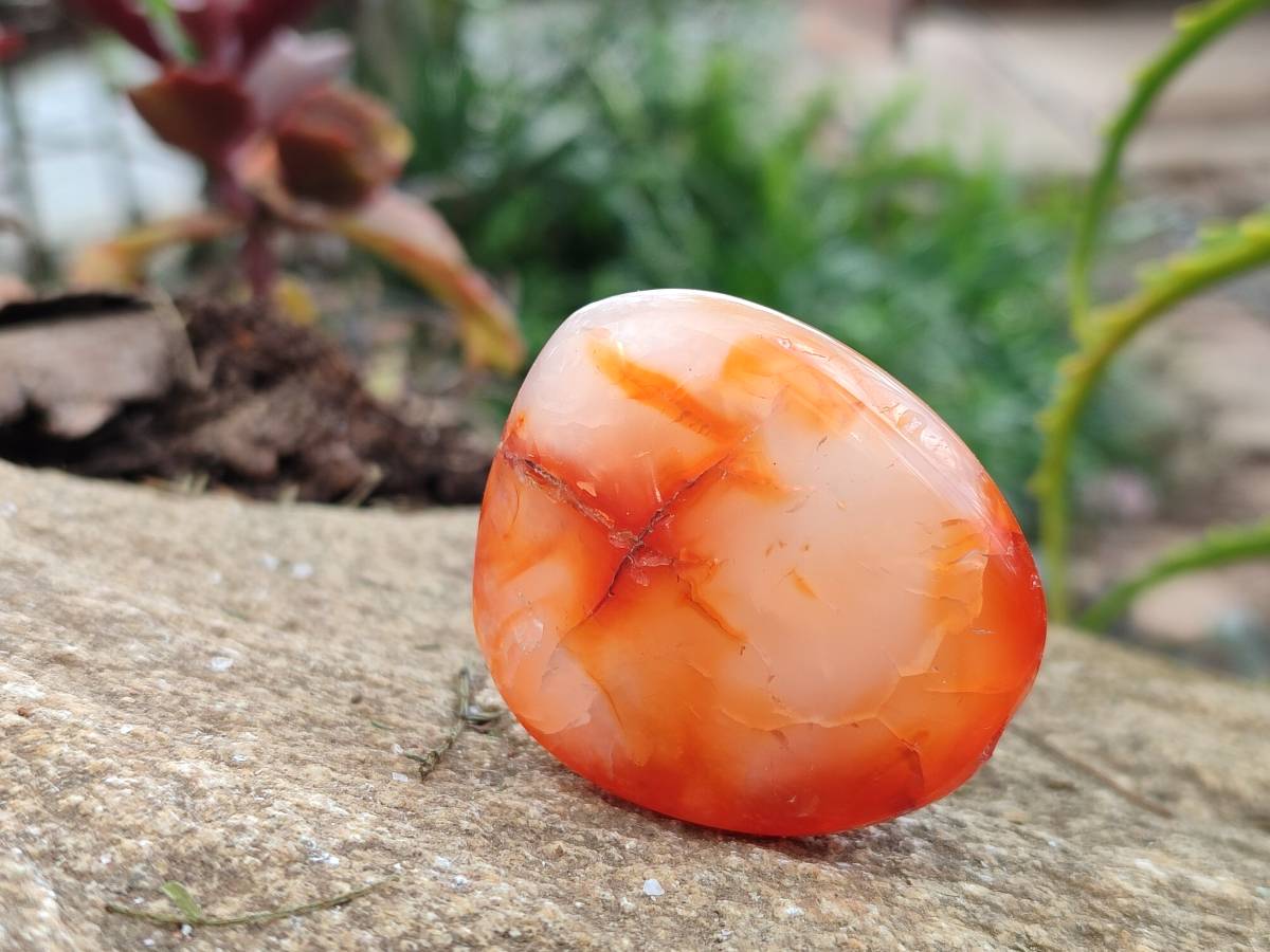 Polished Carnelian Agate Gemstone Palm Stones x 12 From Madagascar - Toprock Gemstones and Minerals 