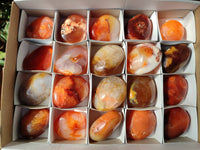 Polished Carnelian Agate Gemstone Palm Stones x 12 From Madagascar