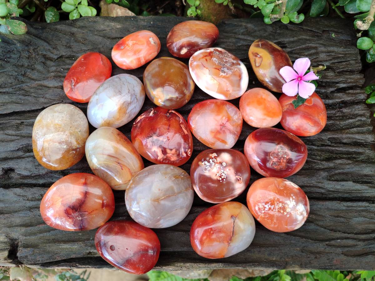 Polished Carnelian Agate Gemstone Palm Stones x 12 From Madagascar - Toprock Gemstones and Minerals 