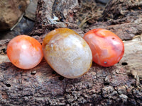 Polished Carnelian Agate Gemstone Palm Stones x 12 From Madagascar